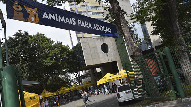 Colégio e OAB promovem Feira de Adoção animal