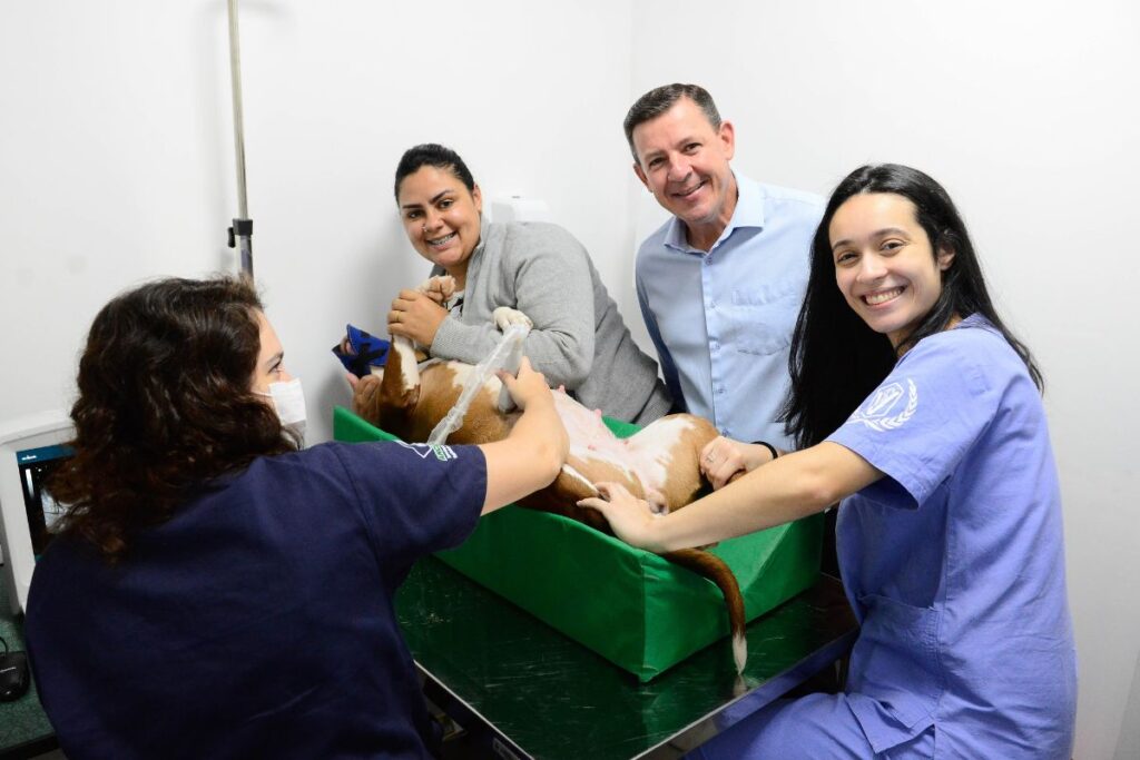 Hospital Veterin Rio De S O Bernardo Completa Um M S Animais