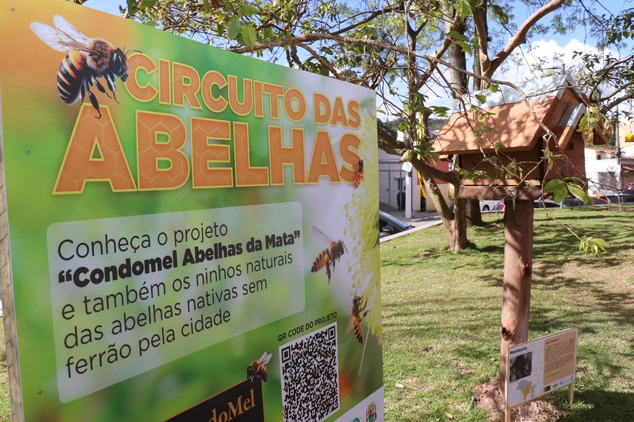 Semana Das Abelhas Projeto Condomel Abelhas Da Mata Revitaliza