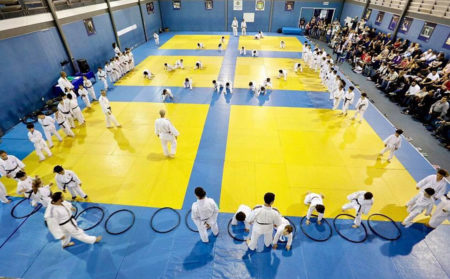 judo scs