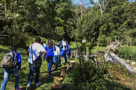 Abertas inscrições para o 3 Encontro de Pesquisadores do Parque Nascentes de Paranapiacaba