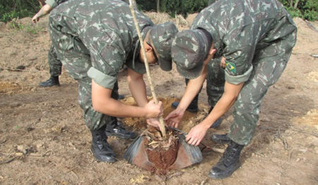 Tiro de Guerra de Santo André participa de ação de reflorestamento no Parque Guaraciaba