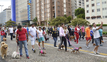 Santo André recebe 11ª Cãominhada