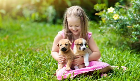 Pet não é brinquedo e requer responsabilidade a longo prazo