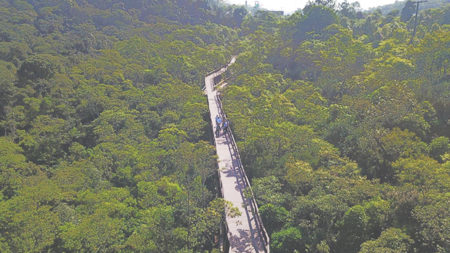 São Bernardo assina acordo de cooperação para proteção do Parque Ecológico Imigrantes