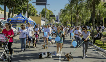 Cãominhada promovida pela Prefeitura de São Caetano do Sul alerta sobre importância de posse responsável