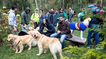 Campos do Jordão terá primeiro hotel 100 pet friendly do Brasil