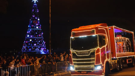 rvore de Natal do Ibirapuera será inaugurada em 30 de novembro