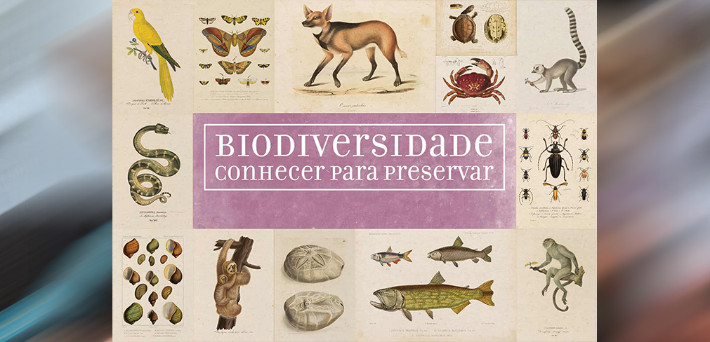 Educação Ambiental do Semasa leva moradores para conhecer o Museu de Zoologia da USP e o Parque Estadual do Juquery