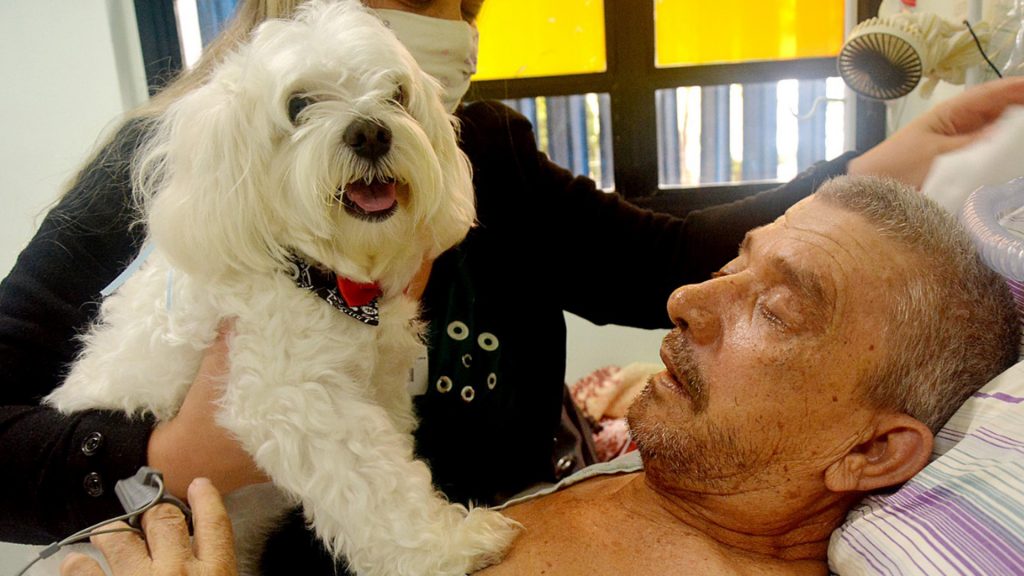 Paciente recebe visita de cachorro de estimacao no Centro Hospitalar Municipal de Santo Andre