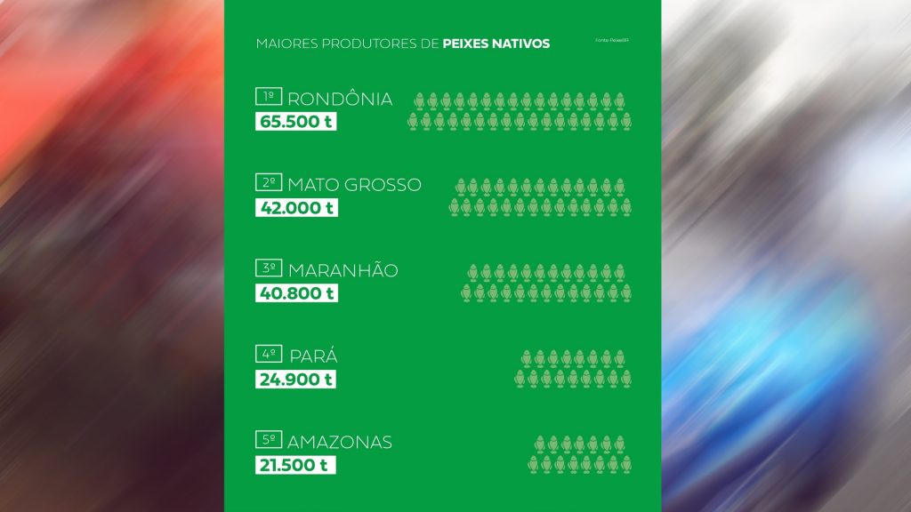 Producao de peixes nativos e 32 menor em 2020 recuando para 278.671 t