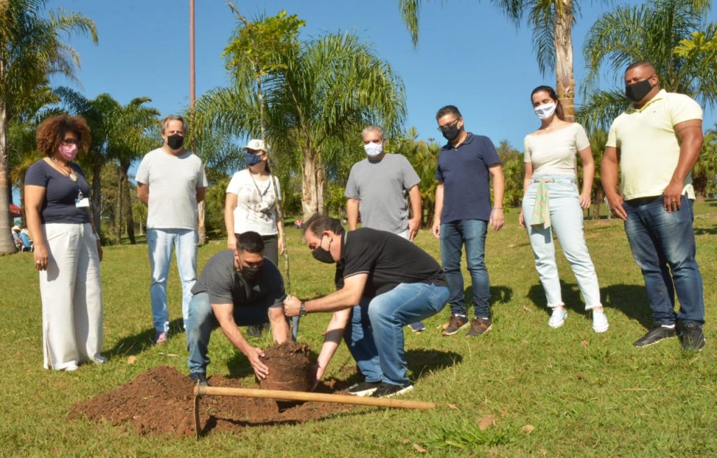 Plantio de mudas de cambuci e pau brasil Foto AngeloBaima PSA 2 1