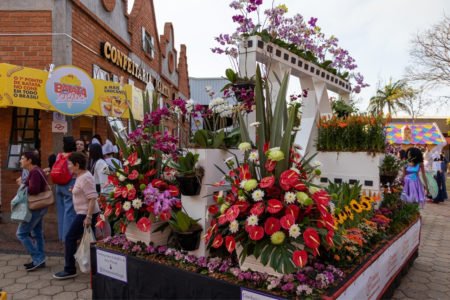 Expoflora dá as boas-vindas à Primavera com mais de 200 mil flores e plantas ornamentais