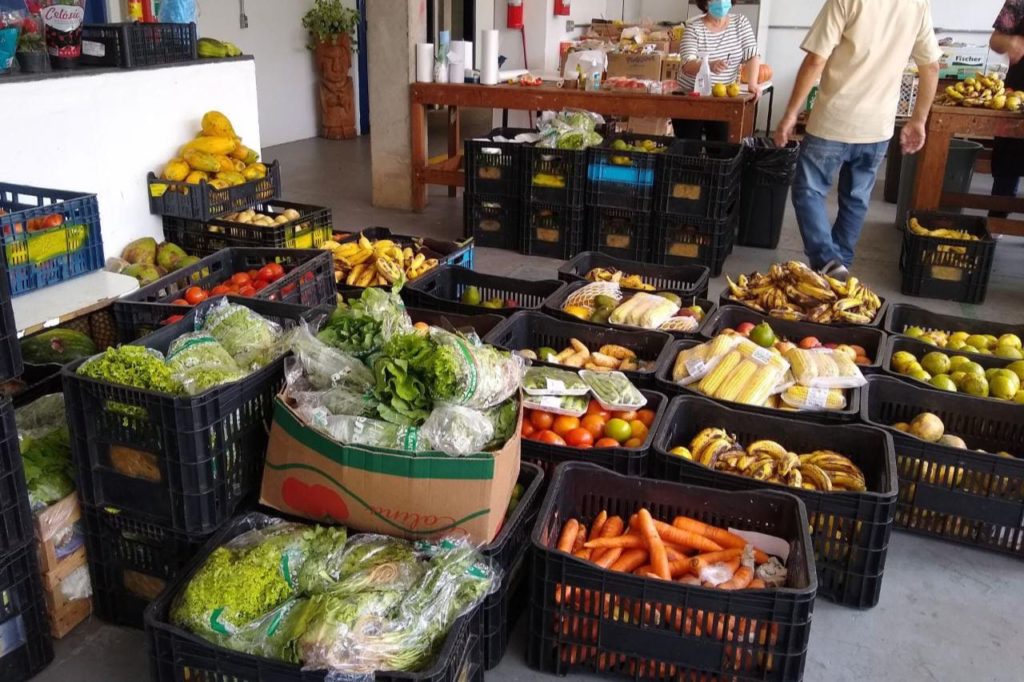 Fundo Social de Ribeirão Pires entregou 900 kg de hortifruti nesta quinta