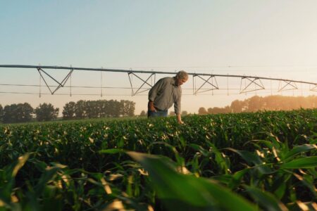 Crédito Rural: Sicredi bate recorde e libera R$ 17,6 bi para custeio nos primeiros três meses da safra 2022/2023