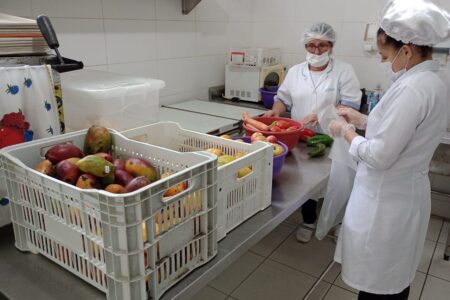 Fundo Social de Ribeirão Pires entrega 600 kg de hortifruti para entidades sociais