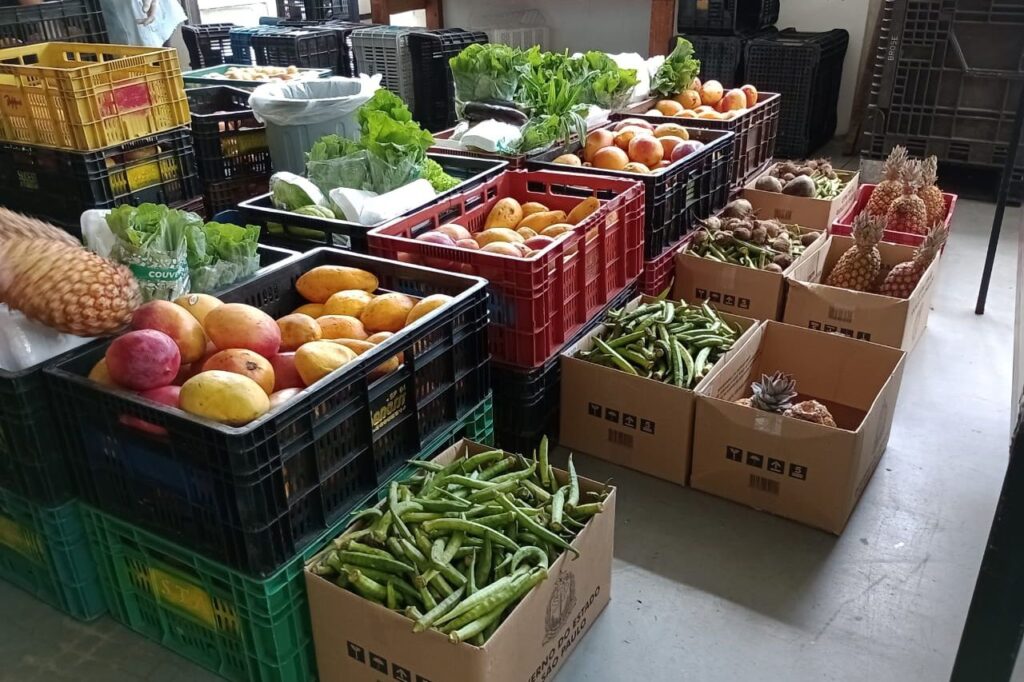 Fundo Social de Ribeirão Pires fechou outubro com 14 toneladas de alimentos doados