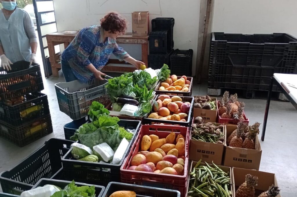 Fundo Social de Ribeirão Pires repassou 21 toneladas de alimentos em novembro