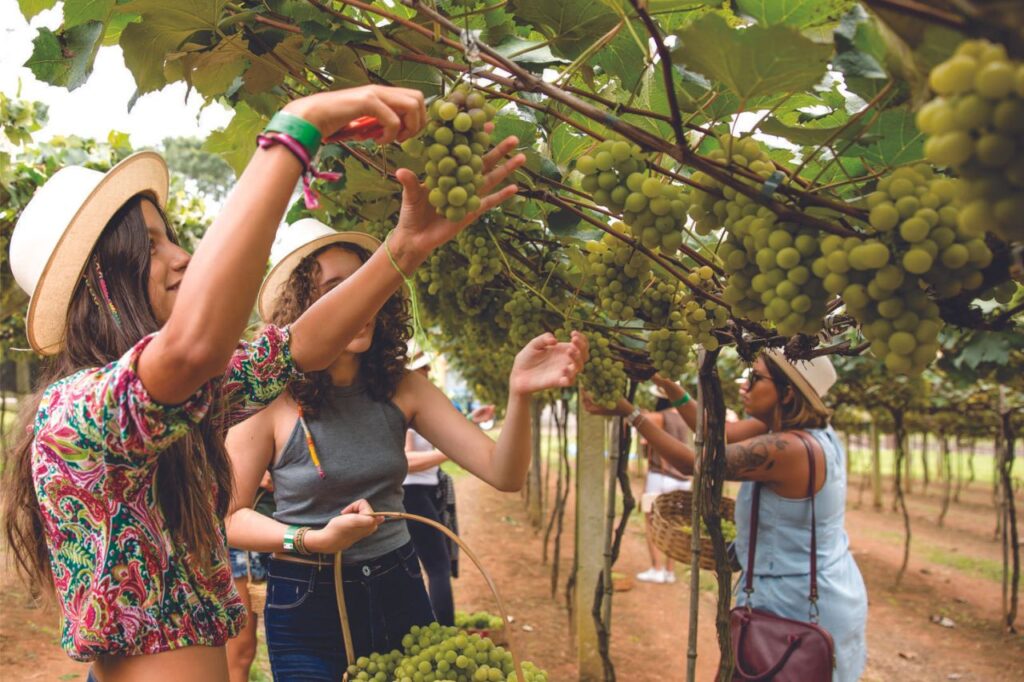 Aproveite o final das férias de verão em São Roque