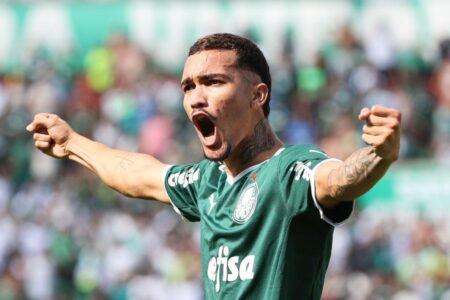 Palmeiras derrota América-MG com gol no fim e é bicampeão
