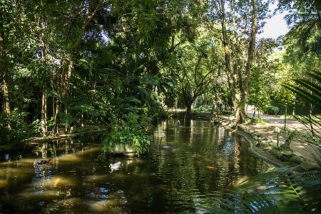 Escola Municipal de Ecologia promove palestra de conscientização sobre doenças transmitidas por pombos