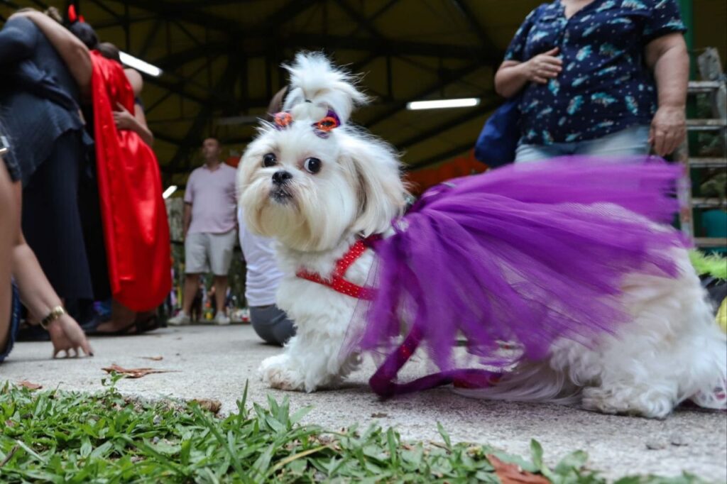 Parque Celso Daniel recebe bloco de Carnaval para os pets no sábado