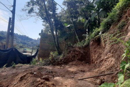 Corte de árvores e movimentação de terra rendem multa de R$ 14 mil no Recreio da Borda do Campo