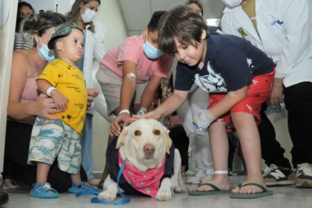 Crianças internadas no CHM de Santo André recebem visita de cães durante Pet Terapia