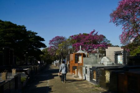 Irregularidades na concessão do serviço funerário serão alvo do TCMSP