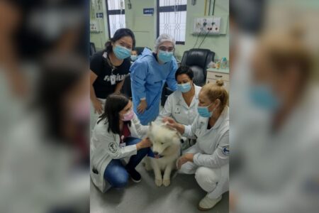 Pacientes internados no Hospital Anchieta receberão visitas de seus pets de estimação