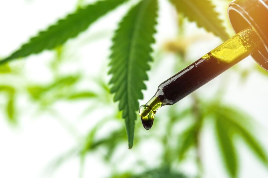 7 perguntas comuns sobre cannabis medicinal