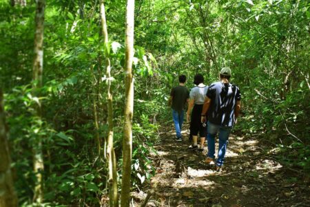 Artes, cultura e natureza se encontram na programação de abril dos Museus da Energia