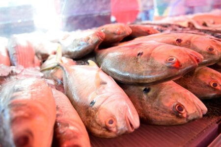 Diadema terá nove pontos de venda de pescados a partir de quarta-feira (05/04)