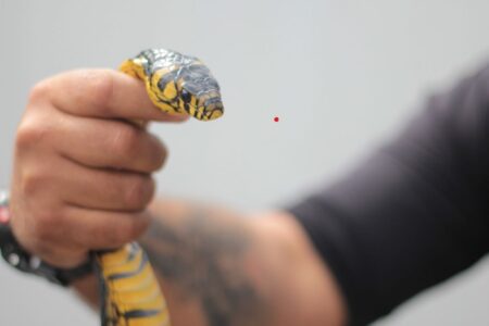 Equipe Ambiental de Ribeirão Pires captura cobra rara