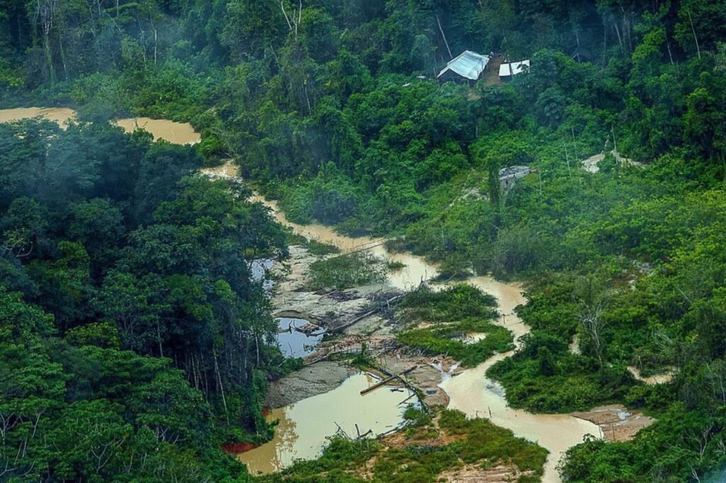 Greenpeace informa registro de 176 escavadeiras em terras Yanomami