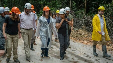 Brasil e Reino Unido anunciam aportes em projeto ambiental na Amazônia