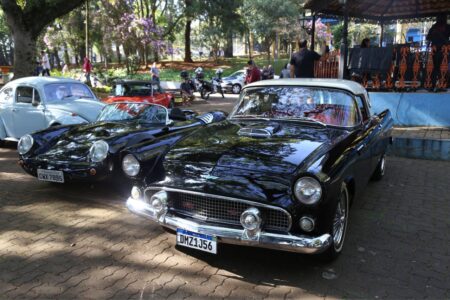 Cultura São Caetano realiza encontro de carros antigos no Bosque do Povo