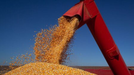 Estudo aponta dinâmica dos preços de commodities agrícolas e as perspectivas para os próximos meses