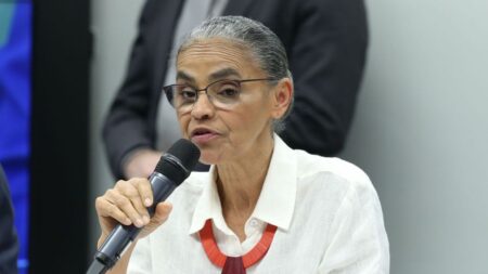 Marina Silva diz que Lula vai vetar trecho da MP da Mata Atlântica