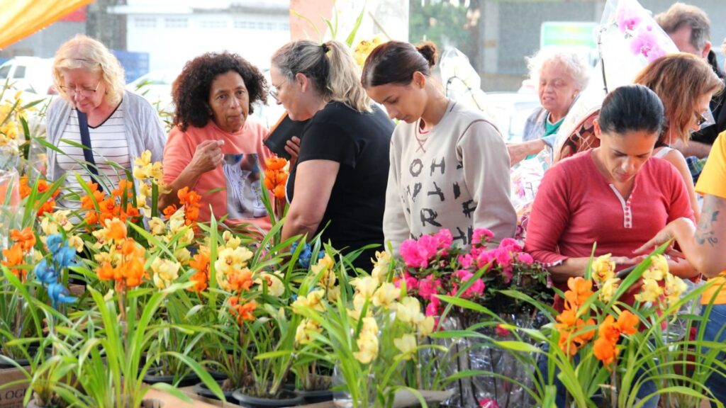 Mercado de Flores da Craisa é opção para compras do Dia das Mães