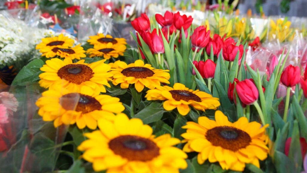 Mercado de Flores da Craisa é opção para compras do Dia das Mães