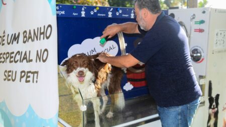 São Bernardo inova com serviço de autoatendimento de banho para pets nos parques