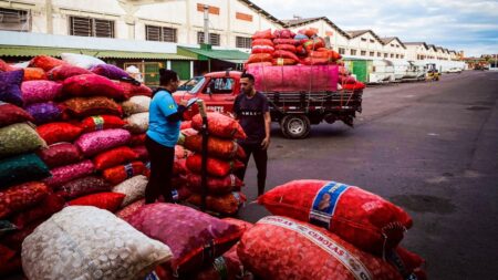 Tampinha Legal recebe mais de cinco toneladas de tampas plásticas em um único dia