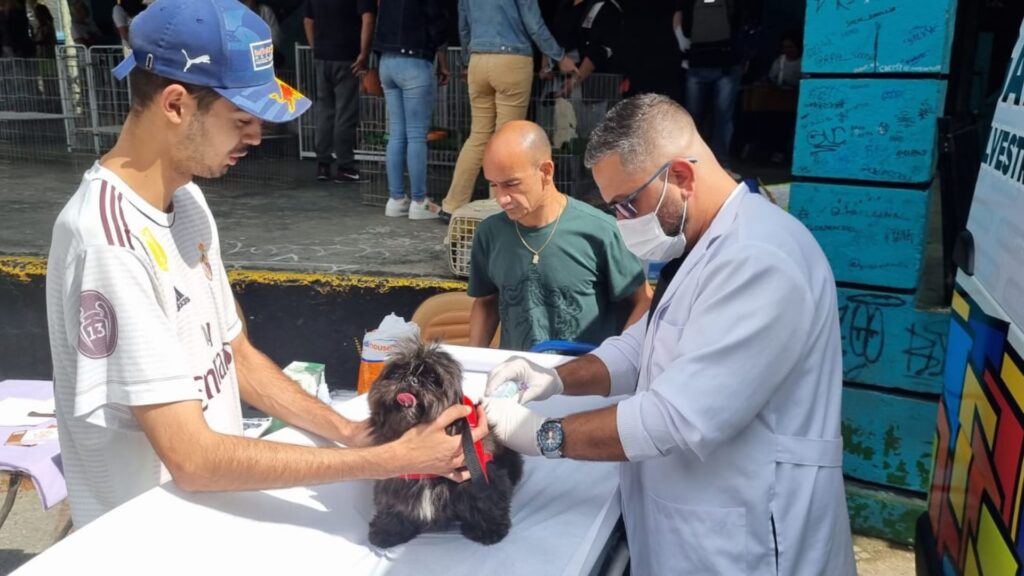 Vacinação antirrábica em Ribeirão Pires acontecerá todo último sábado do mês