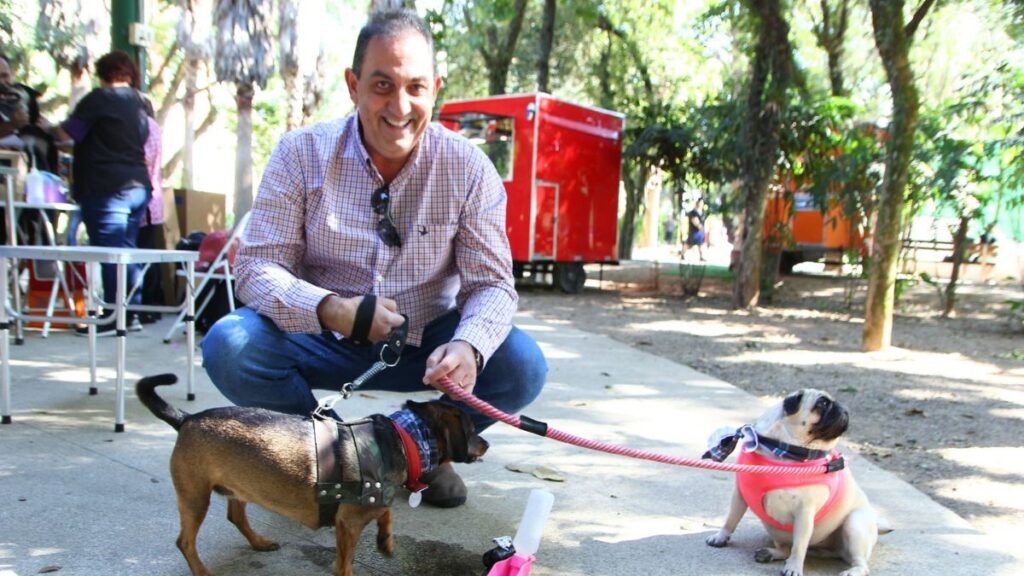 ArraiAu Pet de Santo André reúne 400 animais no Parque Celso Daniel