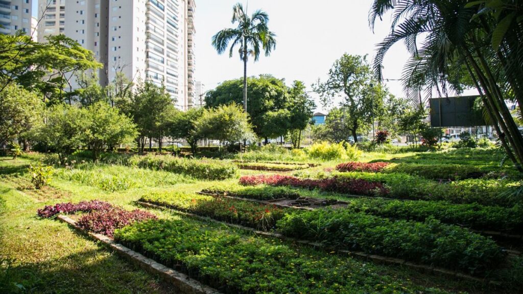 Escola de Ecologia de São Caetano oferece a moradores curso de horta para pequenos espaços