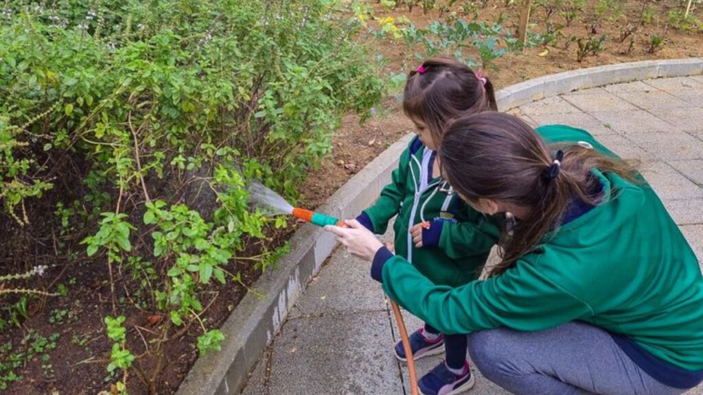 Escolas de São Caetano do Sul são referência em alimentação escolar sustentável e atrativa