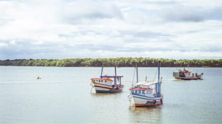 Fundação Florestal lança edital para cadastro no programa de pagamento a pescadores