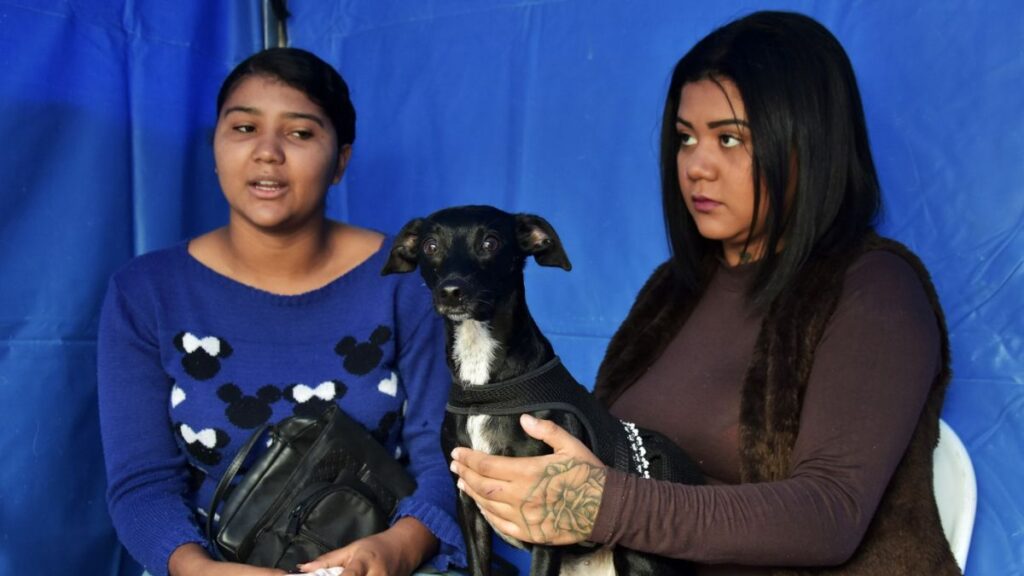 Jardim Alzira Franco recebe Castramóvel para cirurgias em cães e gatos