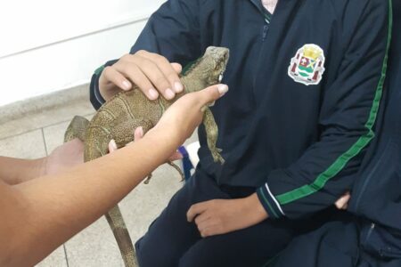 Prefeitura de Ribeirão Pires promove atividade de educação ambiental em parceria com a SABESP